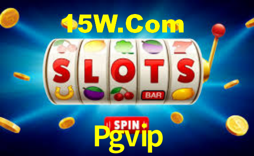 Premium Interface Pgvip