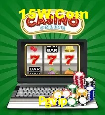Experiência VIP Pgvip